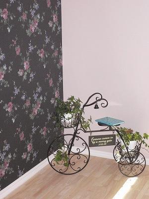 ウォークインの中に、『雑貨屋hina』
さんの店長さんセレクトの　三輪車　置いてみました。いいでしょ‼